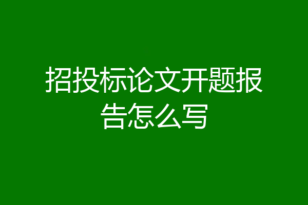 招投标论文开题报告怎么写