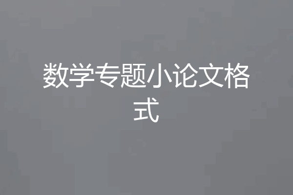 数学专题小论文格式