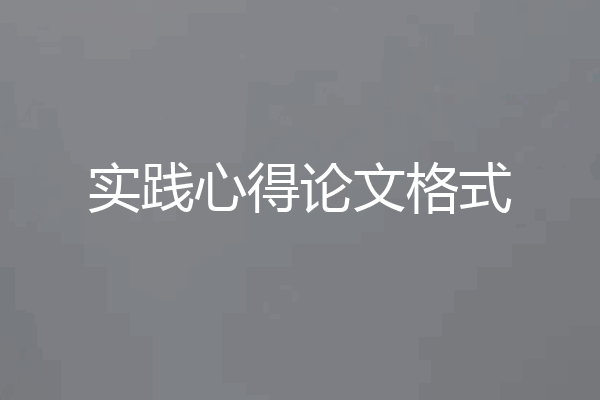 实践心得论文格式