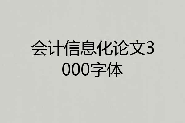 会计信息化论文3000字体