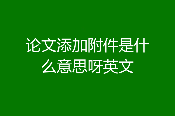 论文添加附件是什么意思呀英文