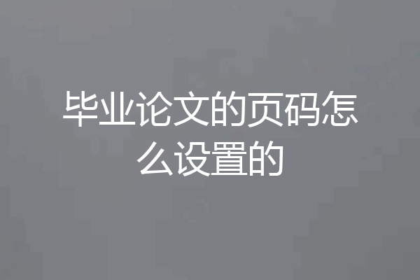 毕业论文的页码怎么设置的
