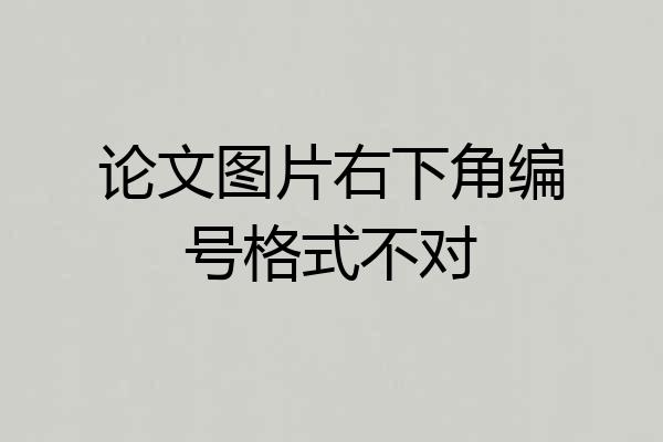 论文图片右下角编号格式不对