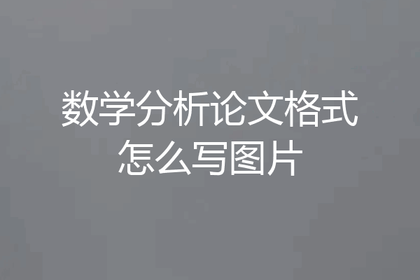 数学分析论文格式怎么写图片