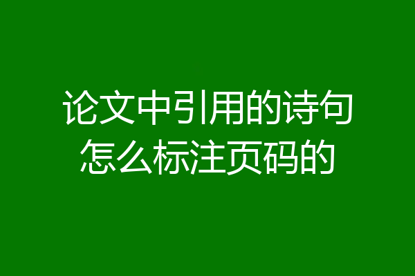 论文中引用的诗句怎么标注页码的