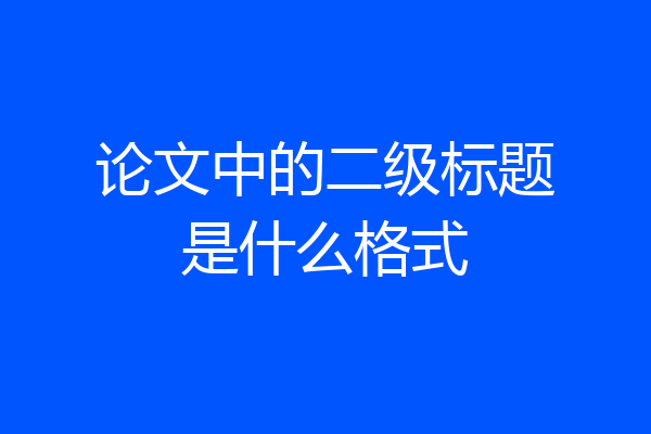 论文中的二级标题是什么格式