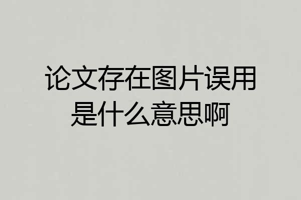 论文存在图片误用是什么意思啊