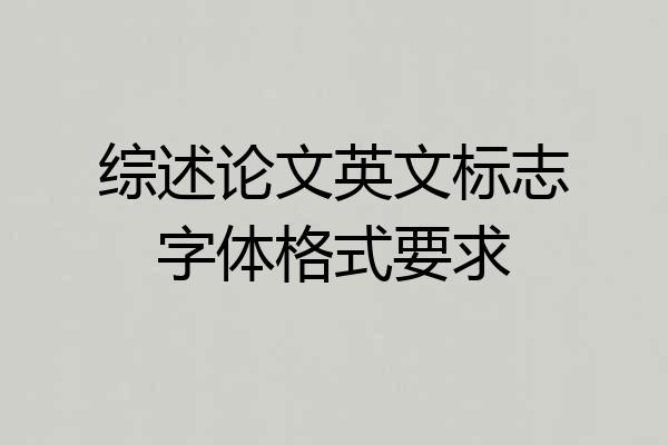 综述论文英文标志字体格式要求