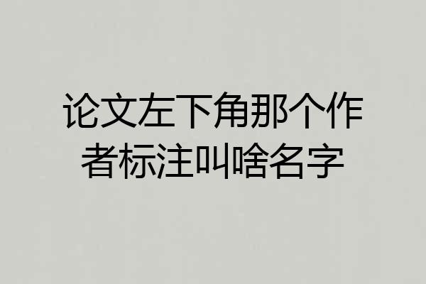 论文左下角那个作者标注叫啥名字
