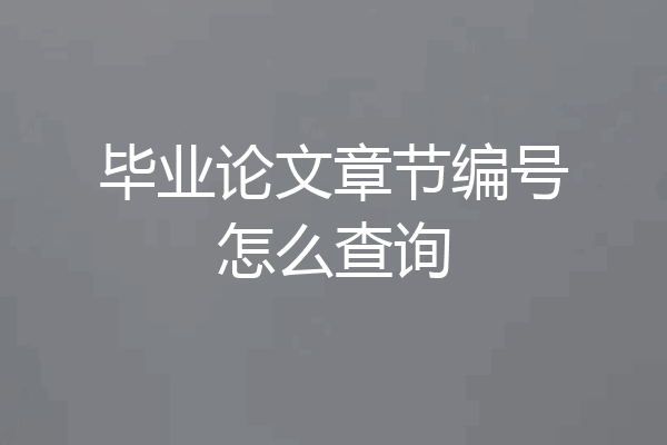 毕业论文章节编号怎么查询