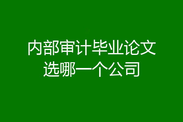 内部审计毕业论文选哪一个公司