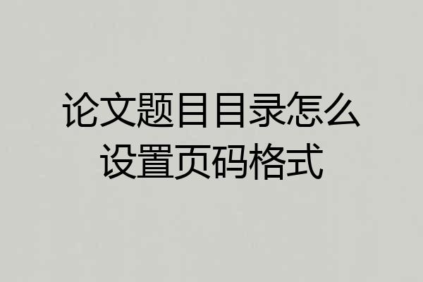 论文题目目录怎么设置页码格式