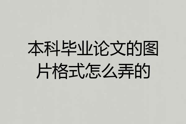 本科毕业论文的图片格式怎么弄的