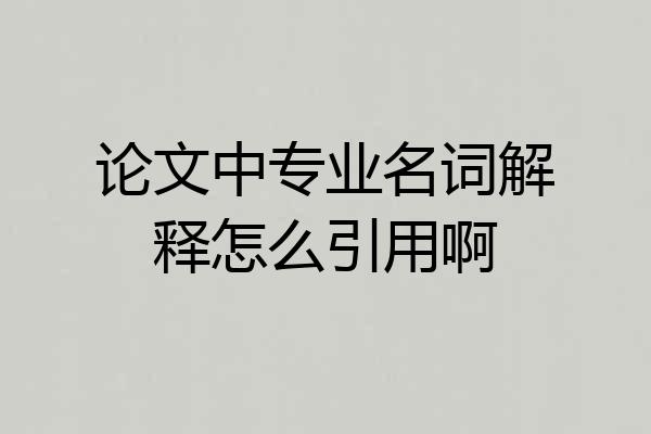 论文中专业名词解释怎么引用啊