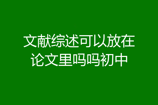 文献综述可以放在论文里吗吗初中
