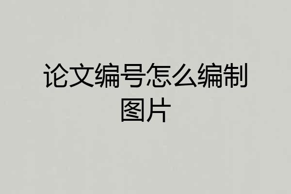 论文编号怎么编制图片