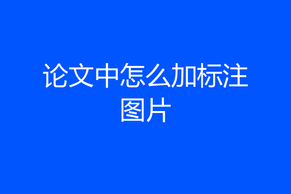 论文中怎么加标注图片