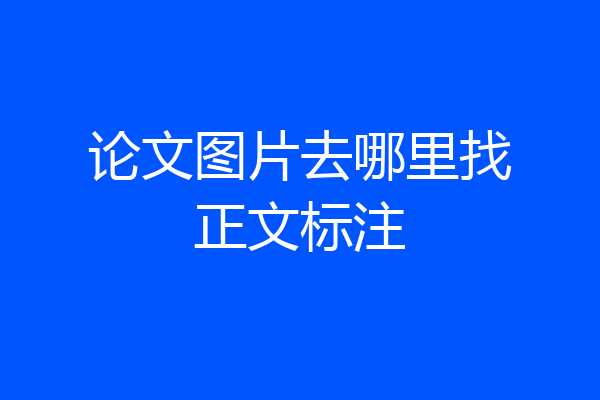 论文图片去哪里找正文标注