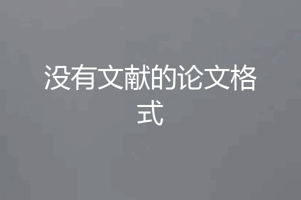 没有文献的论文格式