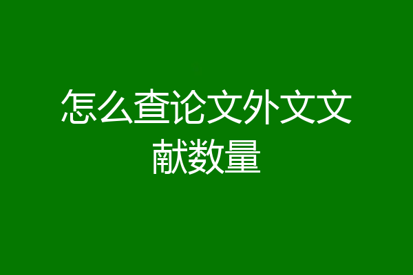 怎么查论文外文文献数量