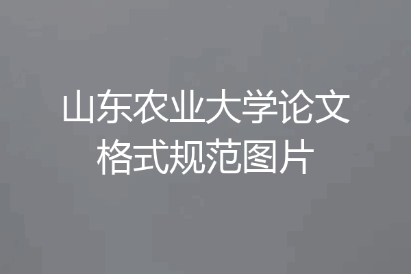 山东农业大学论文格式规范图片