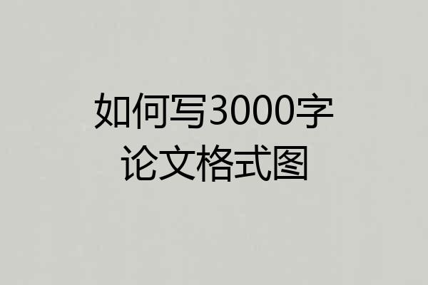 如何写3000字论文格式图