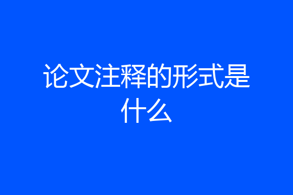 论文注释的形式是什么
