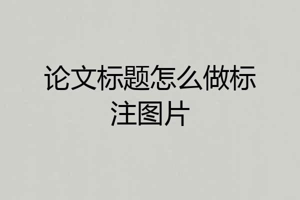 论文标题怎么做标注图片