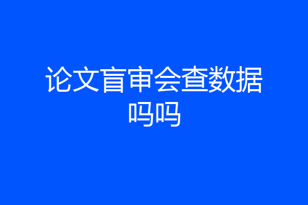 论文盲审会查数据吗吗