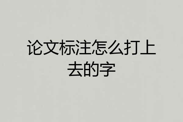 论文标注怎么打上去的字