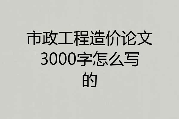 市政工程造价论文3000字怎么写的