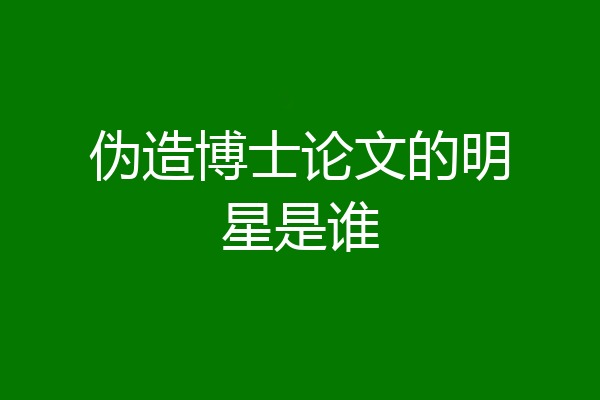 伪造博士论文的明星是谁