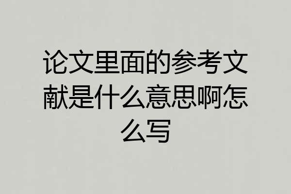 论文里面的参考文献是什么意思啊怎么写
