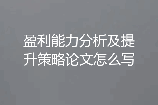 盈利能力分析及提升策略论文怎么写