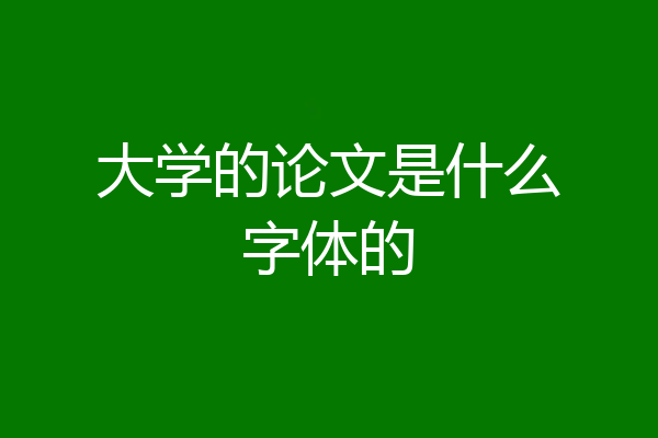 大学的论文是什么字体的