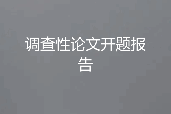 调查性论文开题报告