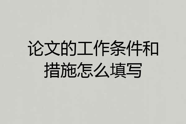 论文的工作条件和措施怎么填写