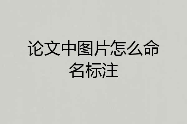 论文中图片怎么命名标注