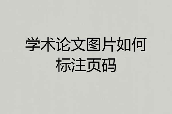 学术论文图片如何标注页码