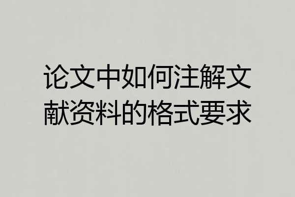 论文中如何注解文献资料的格式要求