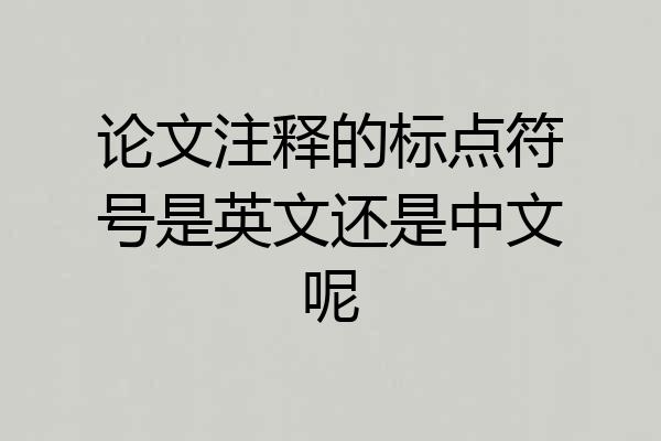 论文注释的标点符号是英文还是中文呢