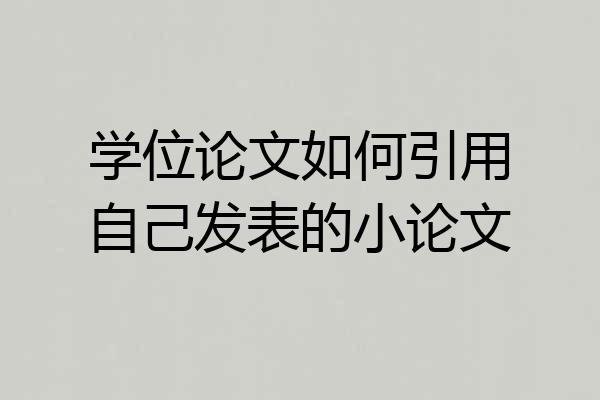 学位论文如何引用自己发表的小论文