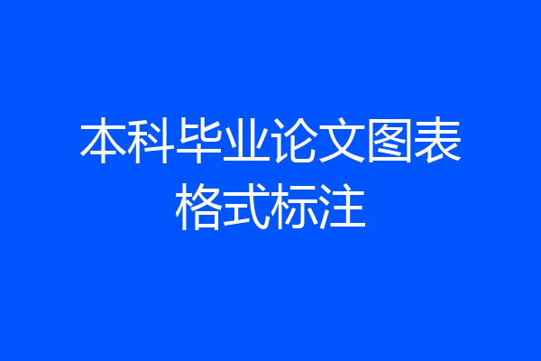 本科毕业论文图表格式标注