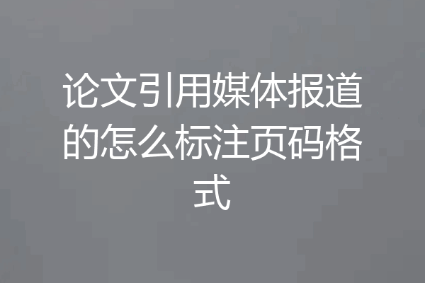 论文引用媒体报道的怎么标注页码格式