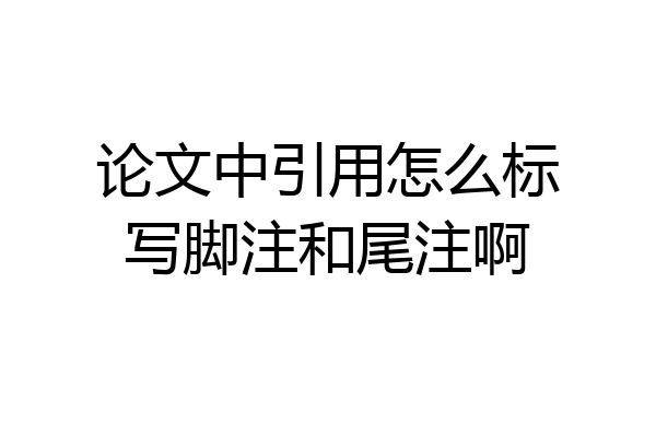论文中引用怎么标写脚注和尾注啊