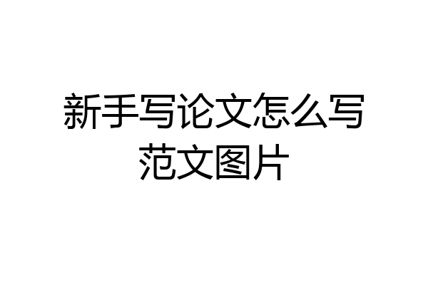 新手写论文怎么写范文图片