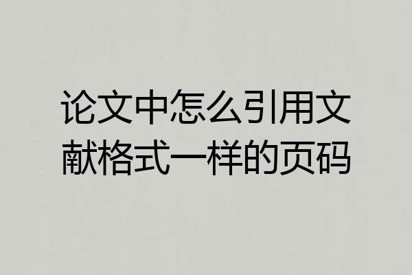 论文中怎么引用文献格式一样的页码