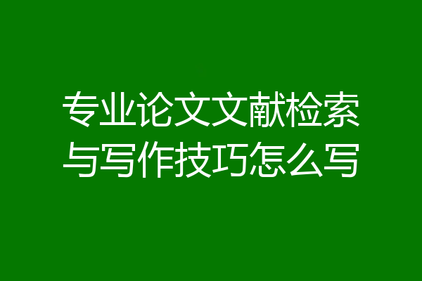 专业论文文献检索与写作技巧怎么写