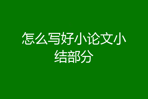 怎么写好小论文小结部分