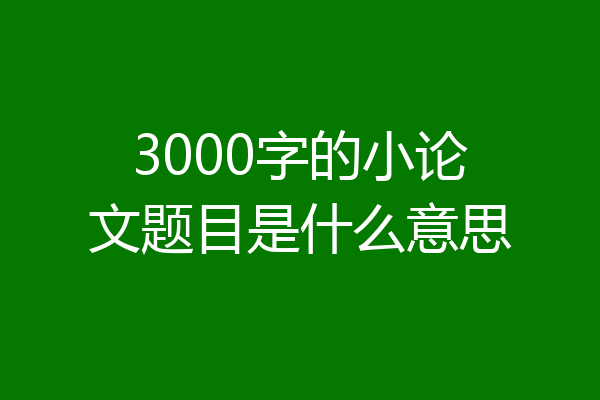 3000字的小论文题目是什么意思